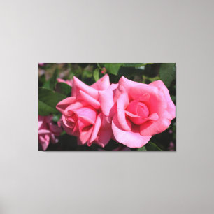 Impressão Em Tela duas flores de rosa rosa-quente perfeitas. amor