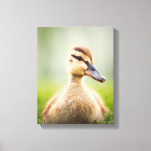 Impressão Em Tela Ducking do pato selvagem do bebê