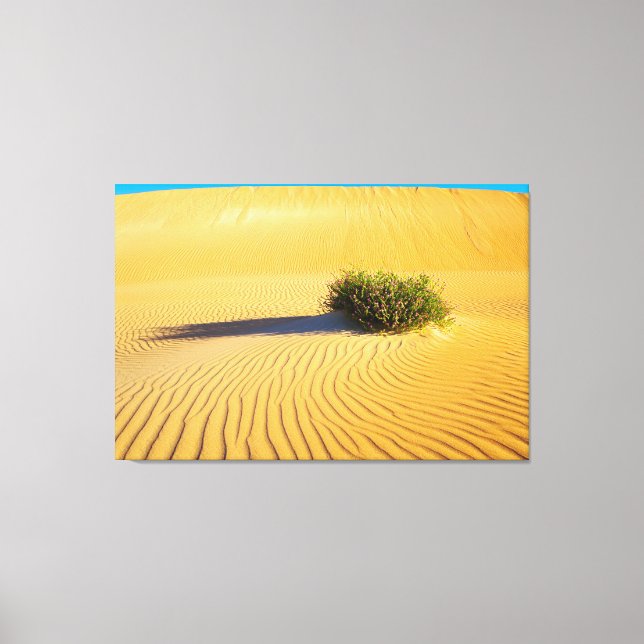 Impressão Em Tela DUNES OCEANOS DO excelente 32x48 (Frente)