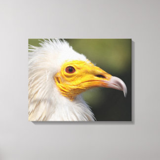 Impressão Em Tela Eagle