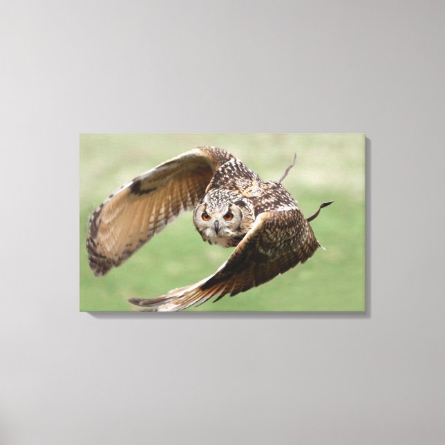 Impressão Em Tela Eagle Owl Em Voo (Frente)