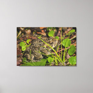 Impressão Em Tela edmonton, Alberta, Canadá