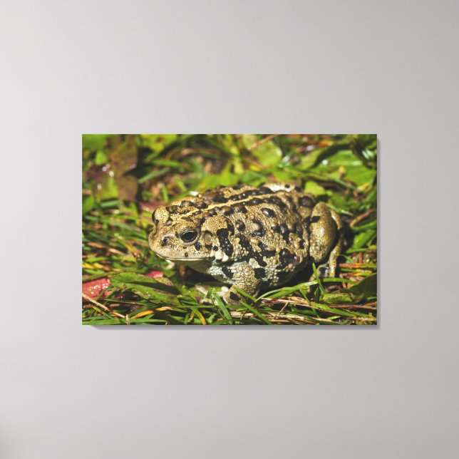 Impressão Em Tela edmonton, alberta, canadá 2 (Frente)