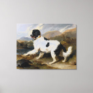 Impressão Em Tela Edwin Henry Landseer Lion A Newfoundland Dog
