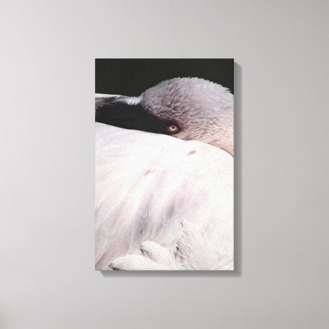 Impressão Em Tela Efeito de Desenho de Retrato de Flamingo Rosa Arte (Frente)