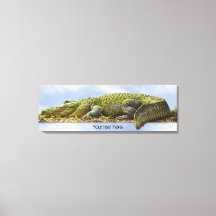 Efeito OOB Fotografia Panorâmica do Grande Gator