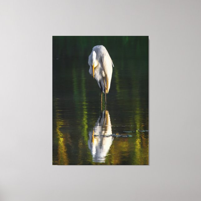 Impressão Em Tela Egret branco de Excelente pacífico com reflexo (Frente)