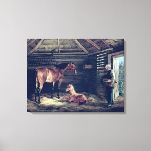 Impressão Em Tela Égua inglesa com ela potros, 1833