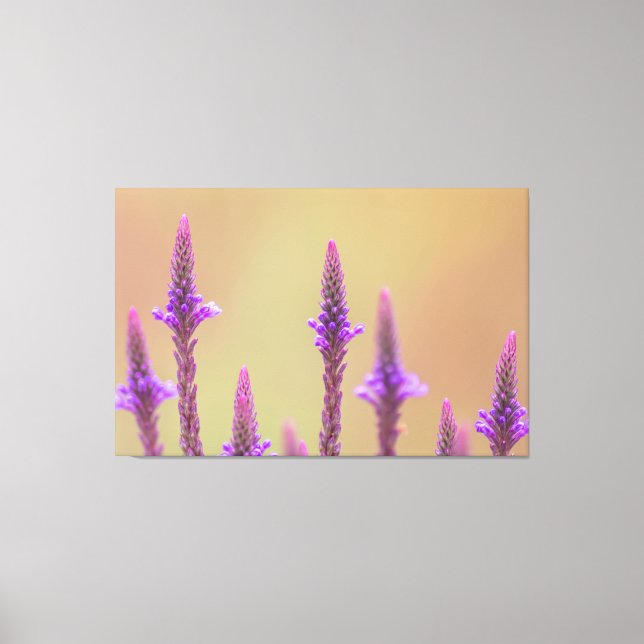 Impressão Em Tela Einfach zum Träumen... (Frente)