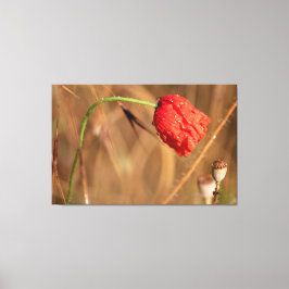 Impressão Em Tela Einfach zum Träumen und Entspannen...