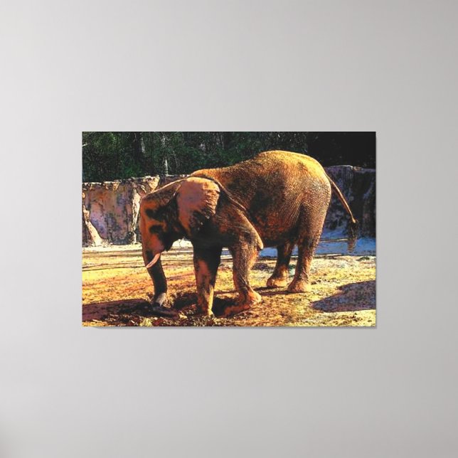 Impressão Em Tela Elefante 1Design (Frente)