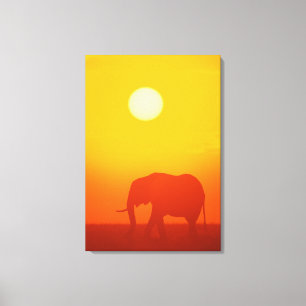 Impressão Em Tela Elefante africano andando ao pôr do sol, Quênia ,