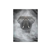 Elefante Africano em Névoa Serena Impasto
