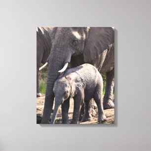 Impressão Em Tela Elefante africano novo com bebê