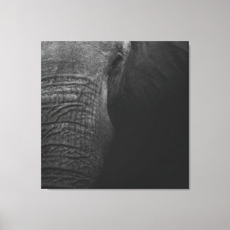 Impressão Em Tela Elefante B&W