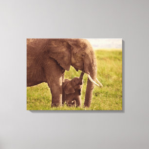 Impressão Em Tela Elefante & bebê das imagens   de Getty