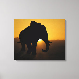 Impressão Em Tela Elefante Bull