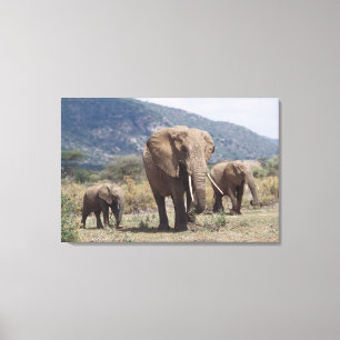 Impressão Em Tela Elefante mãe andando com filhote de elefante