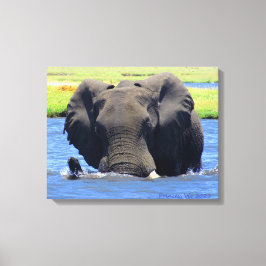 Impressão Em Tela Elefantes de Chobe