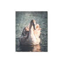 Elegância sobre o Wye