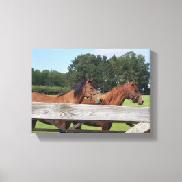 Impressão Em Tela Elegant Horses in Nature