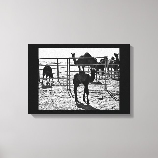 Impressão Em Tela Elegante Camel (Frente)