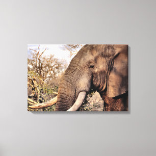 Impressão Em Tela Elephant Lovers Art