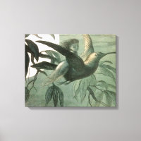 Elf Fairies Elves Moon Night Bird Voando