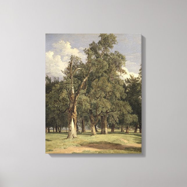 Impressão Em Tela Elm tree in Prater, 1831 (Frente)