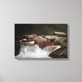 Impressão Em Tela Em Dúvida Da Seca Por Springtime