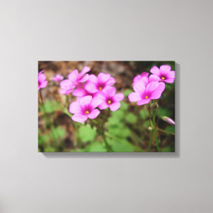 Impressão Em Tela Em Minha Porta, Imprimir Tela