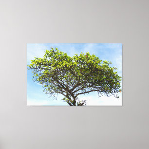 Impressão Em Tela Emerald Canopy: The Coastal Almond Tree