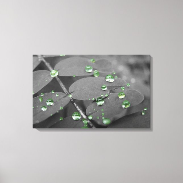 Impressão Em Tela Emerald Rain Drops (Frente)