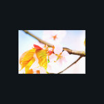 Impressão Em Tela Encantadoras Flores e Folhas de Sakura Elegantes n<br><div class="desc">Um charmoso grupo de flores de sakura num galho de árvore. Cores rosa suave, folhas laranja. Céu azul pálido. A beleza deslumbrante do Hanami - a temporada de observação de sakura. Uma pintura digital extragrande a partir de uma fotografia. Impressão em tela esticada floral impressionante para decorar o seu local...</div>