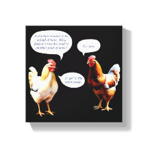 Engraçado Chicken Humor Hens Piada Noveldade