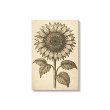 Engrenagem Botânica Vintage à Cabeça de Girassol