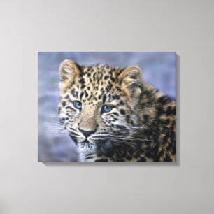Impressão em Tela Enrolada de Filhote de Leopardo
