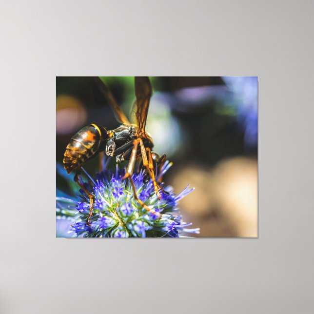 IMPRESSÃO EM TELA ENVOLTA 50 X 40 BEE AWARE (Frente)