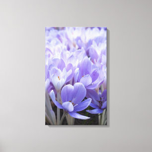 Impressão em Tela Envolta de Crocus