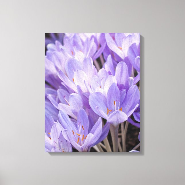 Impressão em Tela Envolta de Crocus (Frente)
