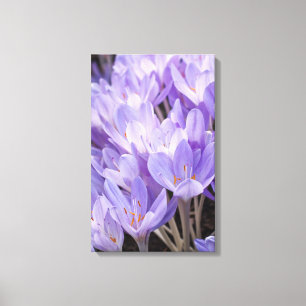 Impressão em Tela Envolta de Crocus