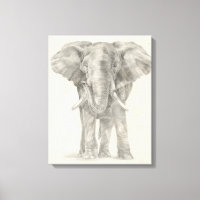 esboço elefante