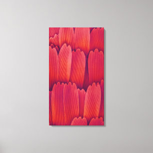 Impressão Em Tela Escalas de Asas da Borboleta