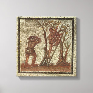 Impressão Em Tela Escolhendo a fruta, mosaico romano