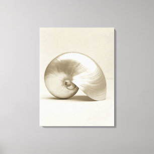 Impressão Em Tela Escudo Pearlised do mar do nautilus