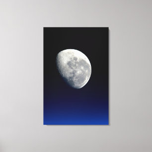 Impressão Em Tela Espaço maravilhoso