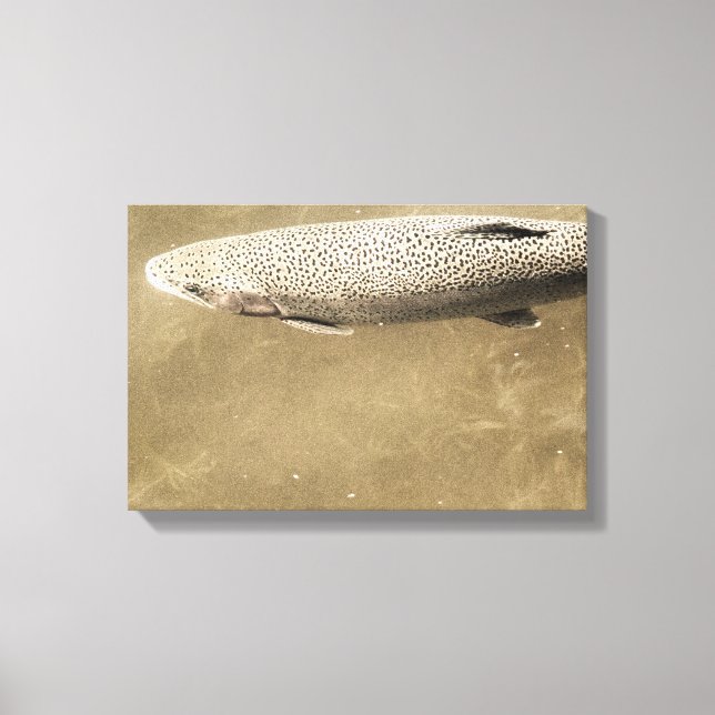 Impressão Em Tela Espectro (Frente)