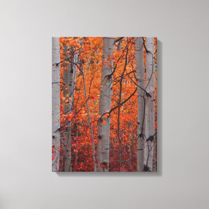 Impressão Em Tela Esplendor do outono