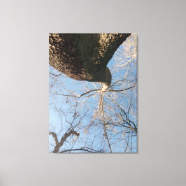 Impressão Em Tela Esquece o limite