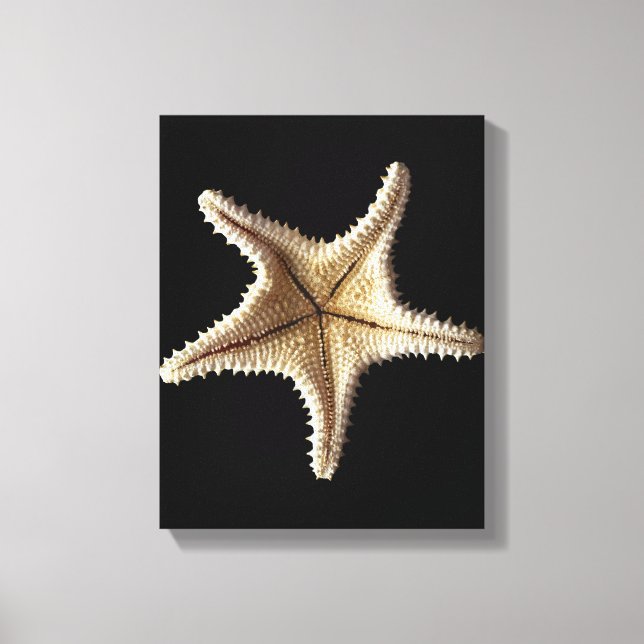 Impressão Em Tela Esqueleto de Starfish, close 2 (Frente)